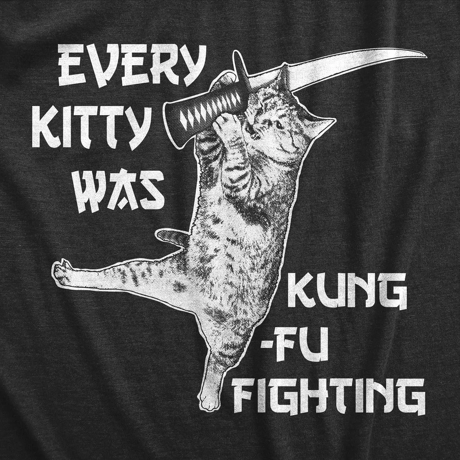 Mens Every Kitty was Kung Fu Fighting Funny Kitten Cat Sword Music T Shirt